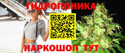 винт Бердск