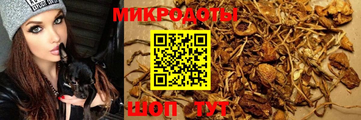 Галлюциногенные грибы GOLDEN TEACHER  закладка  Гулькевичи  Вход с VPN  Галлюциногенные грибы Cubensis 